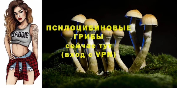 MDMA Армянск
