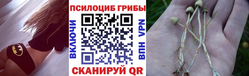 Галлюциногенные грибы мухоморы  где можно купить   Дно 